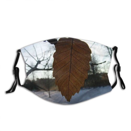 yanfind Deciduous Leaf Beech Leaf Plant Twig Tree Tree Branch Plant Winter Birch Dust Washable Reusable Filter and Reusable Mouth Warm Windproof Cotton Face