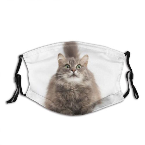yanfind Isolated Pet Fluffy Eyes Cat Cute Adorable Dust Washable Reusable Filter and Reusable Mouth Warm Windproof Cotton Face