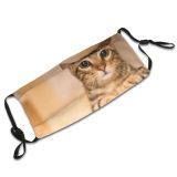 yanfind Isolated Fur Young Little Cat Kitty Cute Purr Sad Bengal Beautiful Pretty Dust Washable Reusable Filter and Reusable Mouth Warm Windproof Cotton Face