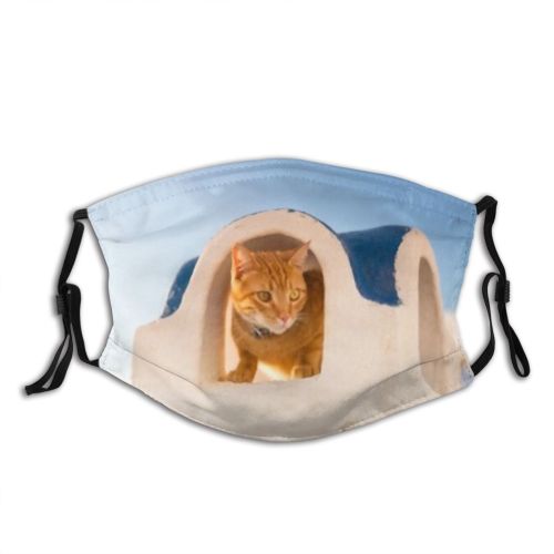 yanfind Lay Mediterranean Sunset Watch Lovely Sunlight Cat Kitty Cute Vacation Village Hour Dust Washable Reusable Filter and Reusable Mouth Warm Windproof Cotton Face