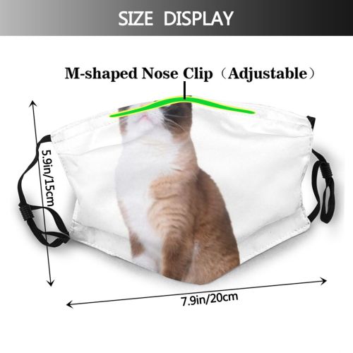 yanfind Isolated Fur Snow Cat Kitty Cute Shorthair Grumpy Mouth Posing Snowshoe Stand Dust Washable Reusable Filter and Reusable Mouth Warm Windproof Cotton Face