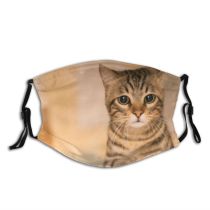 yanfind Isolated Fur Young Little Cat Kitty Cute Purr Sad Bengal Beautiful Pretty Dust Washable Reusable Filter and Reusable Mouth Warm Windproof Cotton Face