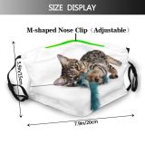 yanfind Isolated Stripes Young Contact Cat Cute Resolution Shorthair Household Cutout Excellent Curious Dust Washable Reusable Filter and Reusable Mouth Warm Windproof Cotton Face