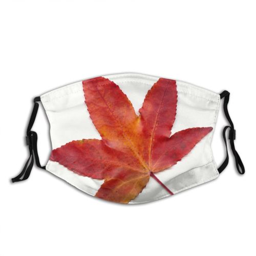 yanfind Flowering Deciduous Leaf Maple Gum Leaf Plant Flower Tree Sweet Plant Autumn   Dust Washable Reusable Filter and Reusable Mouth Warm Windproof Cotton Face