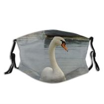 yanfind Ducks Boat Beak Neck Geese Vertebrate Swans Bird Window Swan East Waterway Dust Washable Reusable Filter and Reusable Mouth Warm Windproof Cotton Face