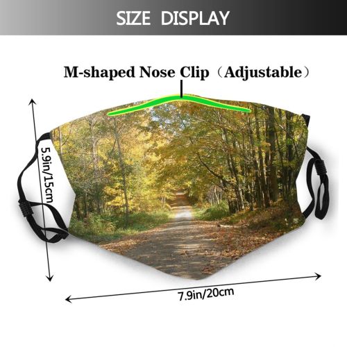 yanfind Trail Natural Autumn Leaves Landscape York Fall Road Forest Leaf Tree Forest Dust Washable Reusable Filter and Reusable Mouth Warm Windproof Cotton Face