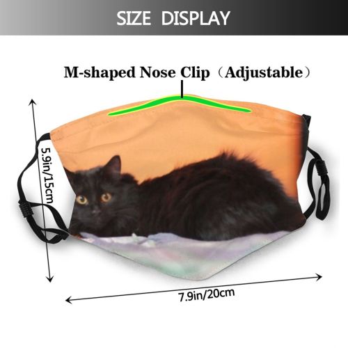 yanfind Isolated Elderly Silhouettes Cat Kitty Cute Clinic Old Contour Posing Female Friend Dust Washable Reusable Filter and Reusable Mouth Warm Windproof Cotton Face