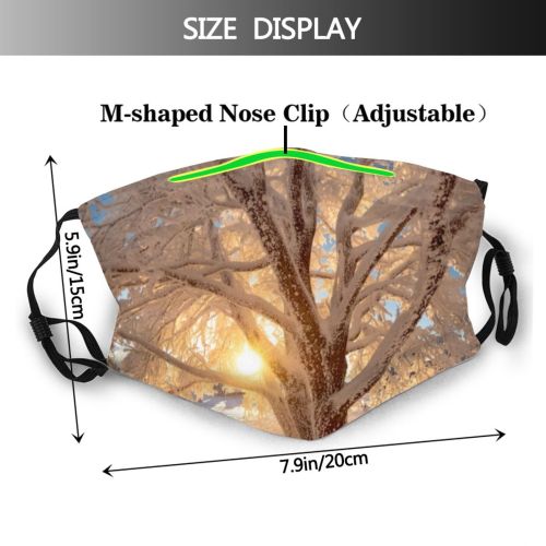 yanfind Central Ice Europe Alps Range Landscape Wide Frozen Tranquility Austria Tree Snow Dust Washable Reusable Filter and Reusable Mouth Warm Windproof Cotton Face