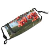 yanfind Hawthorn Plant Pond Berry Tree Tree Rowan Plant Hawthorn Berry Fruit Woody Dust Washable Reusable Filter and Reusable Mouth Warm Windproof Cotton Face