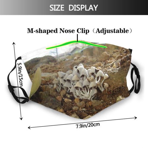 yanfind Fungi Plant Outdoor Mushroom Leaf Fungus Garden Root Soil Tree Rock Dust Washable Reusable Filter and Reusable Mouth Warm Windproof Cotton Face