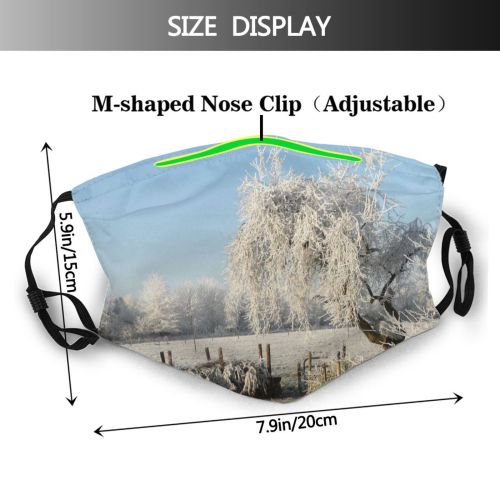 yanfind Winter Hom Spring Form Bushes Outside Natural Woody Landscape Light Branch Clouds Dust Washable Reusable Filter and Reusable Mouth Warm Windproof Cotton Face