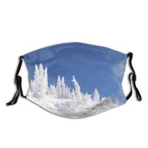 yanfind Frozen Sky Massif Winter Geological Mountain Sky Ice Snow Mountain Snowbird Tree Dust Washable Reusable Filter and Reusable Mouth Warm Windproof Cotton Face