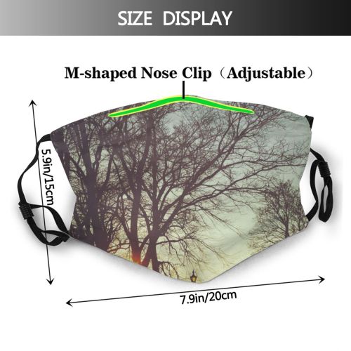 yanfind Morning Natural Atmospheric Woody Tallinn Landscape Sky Branch Bare Tree Tree Light Dust Washable Reusable Filter and Reusable Mouth Warm Windproof Cotton Face