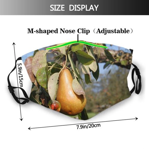 yanfind Plant Diospyros Orchard Plant Flower Fruit Common Leaf Pear Tree Fruit Tree Dust Washable Reusable Filter and Reusable Mouth Warm Windproof Cotton Face
