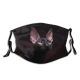 yanfind Lovely Young Little Cat Kitty Cute Meow Tender Shorthair Wildlife Fauna Curious Dust Washable Reusable Filter and Reusable Mouth Warm Windproof Cotton Face