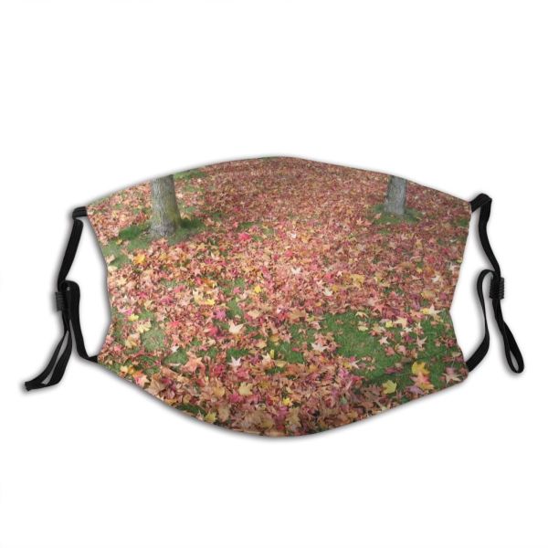 yanfind Lawn Deciduous Leaf Plant Tree Annual Plant Grass Groundcover Autumn Flower Dust Washable Reusable Filter and Reusable Mouth Warm Windproof Cotton Face