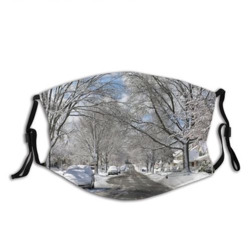 yanfind Ice Atmospheric Frost Dramatic Mood Arctic Outer Frozen Powder District Bare Tree Dust Washable Reusable Filter and Reusable Mouth Warm Windproof Cotton Face