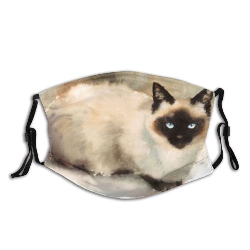 yanfind Isolated Brush Elegant Header Cat Kitty Cute Brochure Fauna Artistic Design Beautiful Dust Washable Reusable Filter and Reusable Mouth Warm Windproof Cotton Face