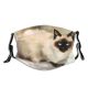 yanfind Isolated Brush Elegant Header Cat Kitty Cute Brochure Fauna Artistic Design Beautiful Dust Washable Reusable Filter and Reusable Mouth Warm Windproof Cotton Face
