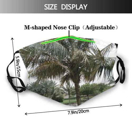yanfind Plant DIC Naseer Tree Tree Arecales Plant Elaeis Park Date Outdoor Speciosa Dust Washable Reusable Filter and Reusable Mouth Warm Windproof Cotton Face