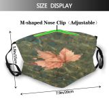 yanfind Maple Ruidera Real Autumn Woody Maple Plant Flower Pathology Leaf Leaf Tree Dust Washable Reusable Filter and Reusable Mouth Warm Windproof Cotton Face