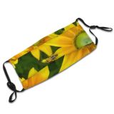 yanfind Plant Flower Bug Nectar Sunflower Plant Beetle Contrast Insect Macro Pollen Camouflage Dust Washable Reusable Filter and Reusable Mouth Warm Windproof Cotton Face