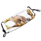 yanfind Garden Fur Hunter Meow Cat Kitty Cute Striped Limb Emotions Wildlife Summer Dust Washable Reusable Filter and Reusable Mouth Warm Windproof Cotton Face