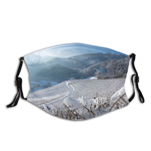 yanfind Ridge Swiss Winter Vineyards Snowy Slope Winter Mountain Sky Hills Snow Vines Dust Washable Reusable Filter and Reusable Mouth Warm Windproof Cotton Face