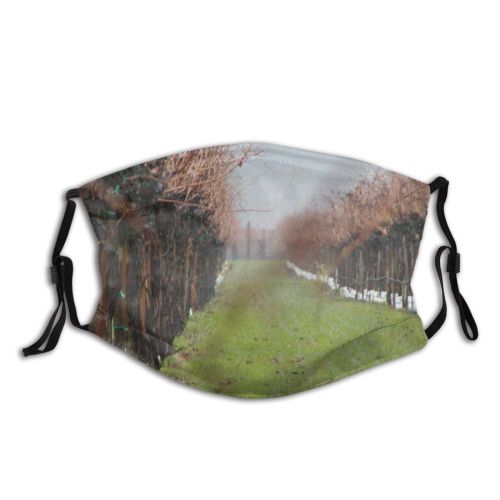yanfind Family Napa Plant Spring Tree Valley Branch Grass Vineyard Morning Atmospheric Plant Dust Washable Reusable Filter and Reusable Mouth Warm Windproof Cotton Face
