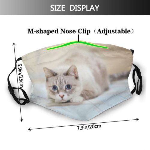 yanfind Cafe Apartment Fur Young Little Cat Kitty Cute Shorthair Cozy Box Wirehair Dust Washable Reusable Filter and Reusable Mouth Warm Windproof Cotton Face