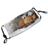 yanfind Poland Wild Fox Snow Wildlife Temperature Outdoors Winter Fur Portrait Dust Washable Reusable Filter and Reusable Mouth Warm Windproof Cotton Face