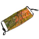 yanfind Maples Pentax Fall Branches Woody D Branch Vegetation Maple Plant Branch Desktop Dust Washable Reusable Filter and Reusable Mouth Warm Windproof Cotton Face
