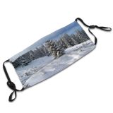 yanfind Pine Winter Geological Sky Fir Wilderness Tree Spruce Winter Lodgepole Shortleaf Snow Dust Washable Reusable Filter and Reusable Mouth Warm Windproof Cotton Face