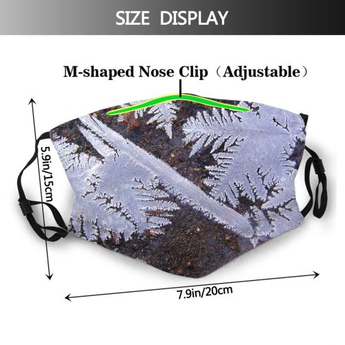 yanfind Freezer Spruce Cool Tree Snow Freeze Shortleaf Frost Plant Colorado Comet Leaf Dust Washable Reusable Filter and Reusable Mouth Warm Windproof Cotton Face