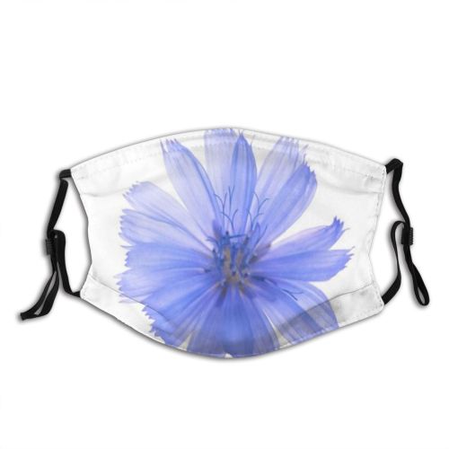 yanfind  Studio Flower Garden Flora ness Clipping Delicate Plant Treatment Endive Fragrant Dust Washable Reusable Filter and Reusable Mouth Warm Windproof Cotton Face