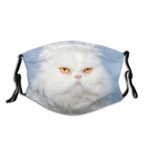 yanfind Isolated Fur Young Cat Cute Sky Watching Space Beautiful Face Pretty Vertebrate Dust Washable Reusable Filter and Reusable Mouth Warm Windproof Cotton Face