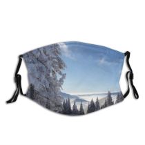 yanfind Winter Winter Natural Wilderness Landscape Mountain Sky Snow Tree Tree Frost Mountains Dust Washable Reusable Filter and Reusable Mouth Warm Windproof Cotton Face