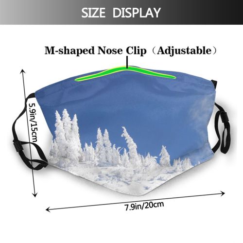 yanfind Frozen Sky Massif Winter Geological Mountain Sky Ice Snow Mountain Snowbird Tree Dust Washable Reusable Filter and Reusable Mouth Warm Windproof Cotton Face