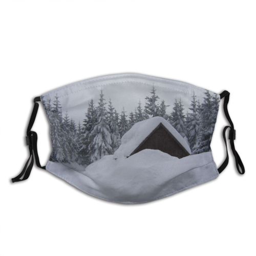 yanfind Winter Xmas Christmas Winter Woody Geological Sky Plant Ice Snow Leaf Tree Dust Washable Reusable Filter and Reusable Mouth Warm Windproof Cotton Face