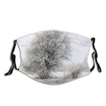 yanfind Winter Landscape Tree Frost Winter Natural Atmospheric Freezing Snow    Dust Washable Reusable Filter and Reusable Mouth Warm Windproof Cotton Face