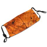 yanfind Dead Texture Maple Wood Golden Leaves Plant Grunge Leaf Decay Leaf Tree Dust Washable Reusable Filter and Reusable Mouth Warm Windproof Cotton Face