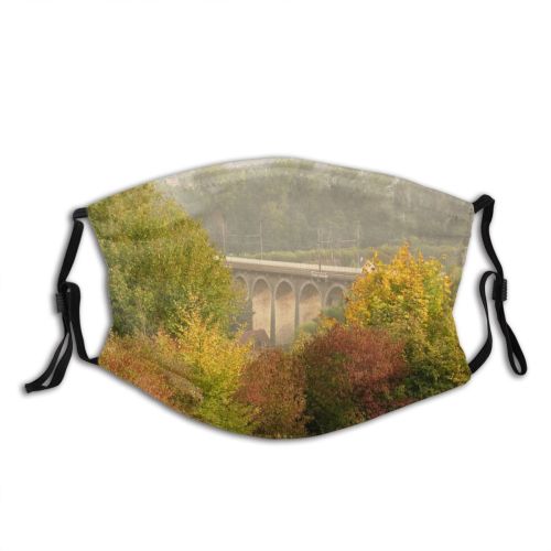 yanfind Lanscape Viaduct Leaf Trees Landscape Tree Plant Morning Autumn Natural Atmospheric Autumn Dust Washable Reusable Filter and Reusable Mouth Warm Windproof Cotton Face