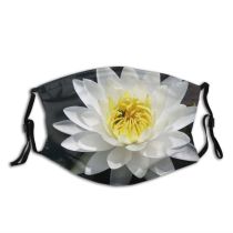 yanfind Plant Aquatic Lily Fragrant Flower Plant Flowering Sacred Lotus Flower Petal Dust Washable Reusable Filter and Reusable Mouth Warm Windproof Cotton Face