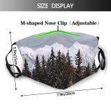 yanfind Idyllic Ice Pine Frosty Mountain Enviroment Rock Icy Coniferous Frozen Tranquil Covered Dust Washable Reusable Filter and Reusable Mouth Warm Windproof Cotton Face