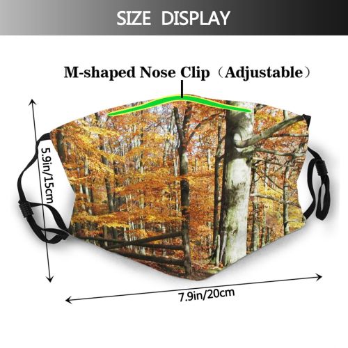 yanfind Natural Golden Autumn Beech Leaves Landscape Forest Hardwood Leaf Northern Tree Forest Dust Washable Reusable Filter and Reusable Mouth Warm Windproof Cotton Face