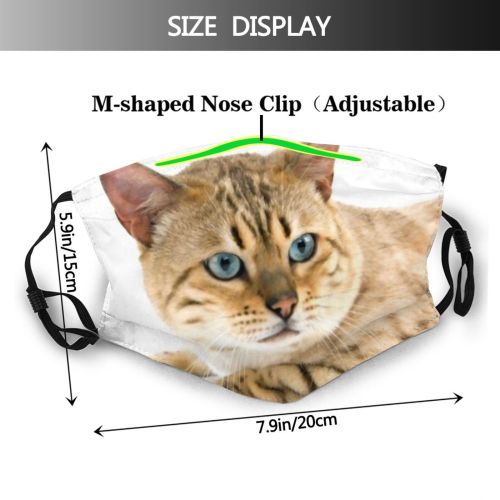 yanfind Cat Seal Bengal Sight Pet Cats Studio Individual Tabby Profile Felidae Portrait Dust Washable Reusable Filter and Reusable Mouth Warm Windproof Cotton Face