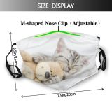 yanfind Fur Young Bed Closed Cat Kitty Cute Little Grey Muzzle Embrace Pedigreed Dust Washable Reusable Filter and Reusable Mouth Warm Windproof Cotton Face