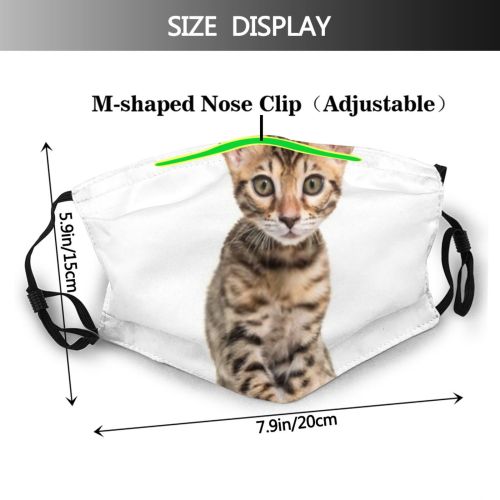yanfind Isolated Young Cat Carnivore Catus Staring Facing Nobody Bengal Vertebrate Shot Pet Dust Washable Reusable Filter and Reusable Mouth Warm Windproof Cotton Face