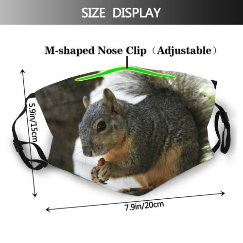 yanfind Vertebrate Ground Squirrel Fox Squirrel Nuts Grey Whiskers Rodent Squirrels Snout Wildlife Dust Washable Reusable Filter and Reusable Mouth Warm Windproof Cotton Face