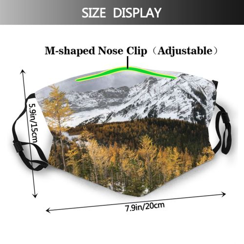 yanfind Ice Snowfall Glacier Daylight Frost Pine Frosty Mountain Snowy Icy Forest Clouds Dust Washable Reusable Filter and Reusable Mouth Warm Windproof Cotton Face